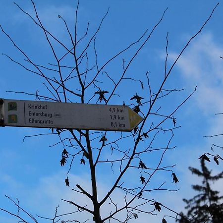 Pension Entersburg Bad Bertrich Zewnętrze zdjęcie